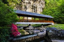 油草河景区